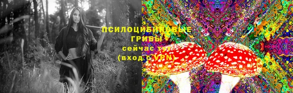 скорость Алексеевка
