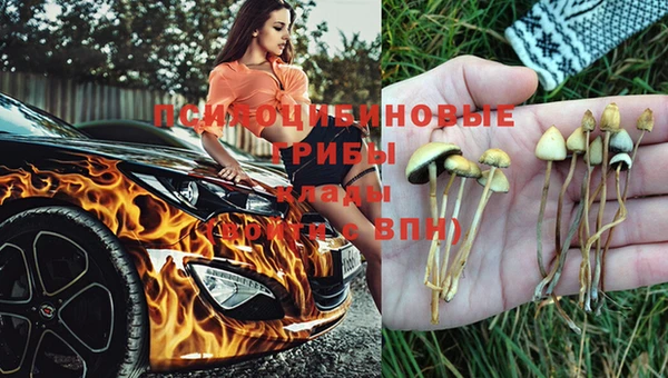 мдпв Алзамай