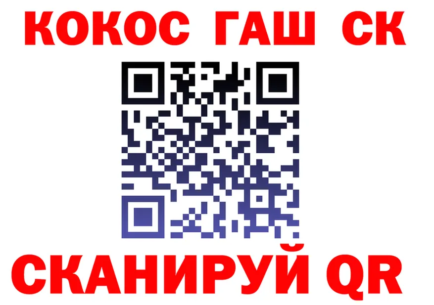 ГАШ гарик зеркало shop блэк спрут Бикин